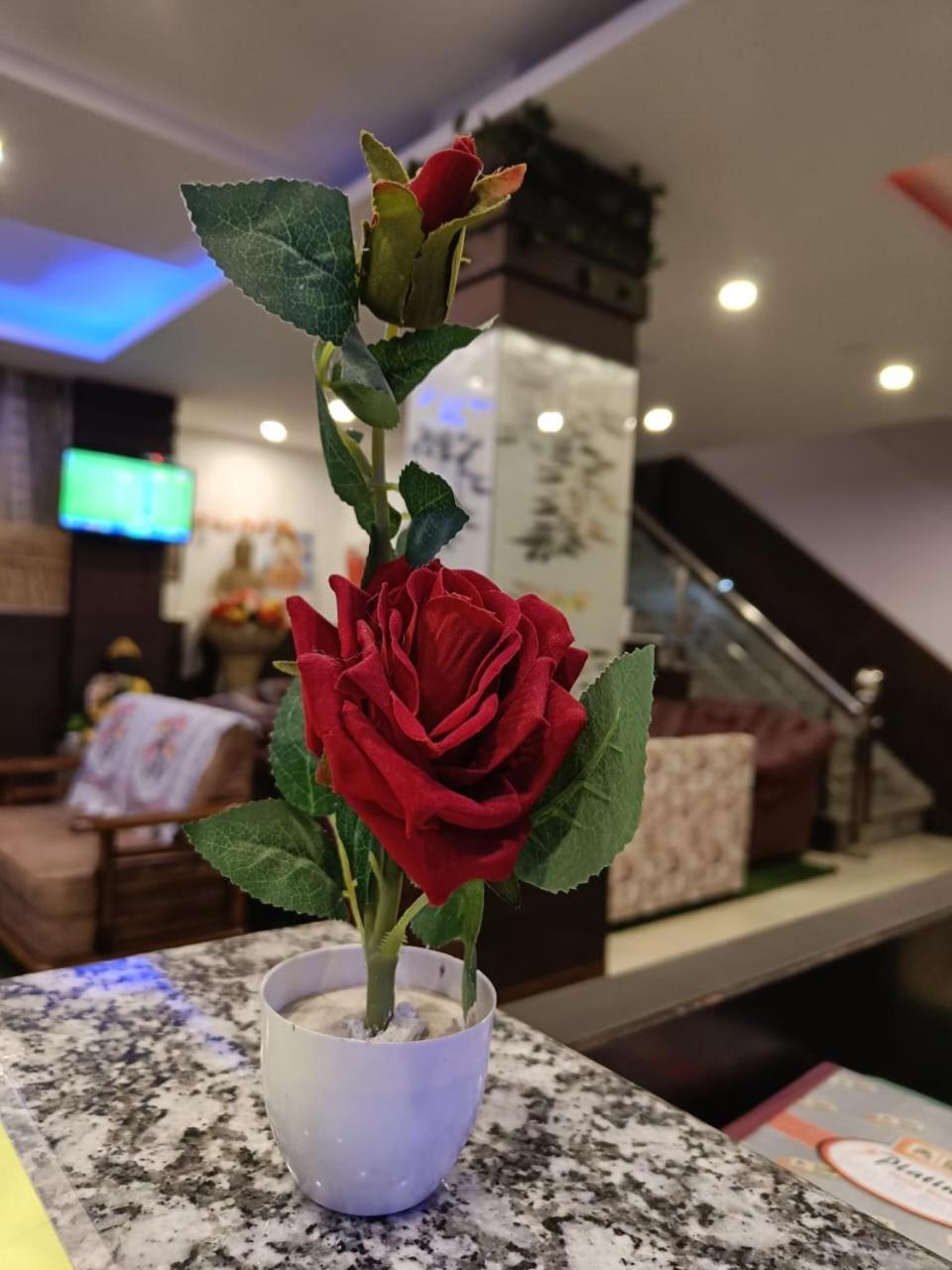 King Castle Mcleodganj-Centrally Heated And Air Cooled- Near Mall Road - Free Parking Дармсала Екстер'єр фото